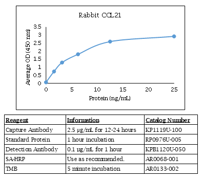 Rabbit CCL21 Standard Curve