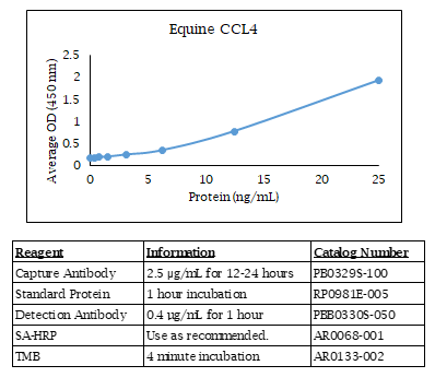 Equine CCL4 Standard Curve
