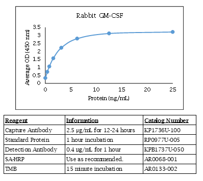 Rabbit GM-CSF Standard Curve