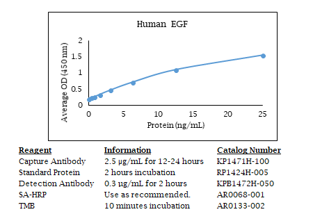 Human EGF Standard Curve
