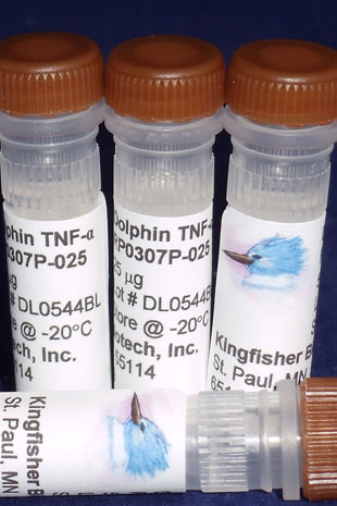 Dolphin TNF alpha (Yeast-derived Recombinant Protein) - 5 micrograms