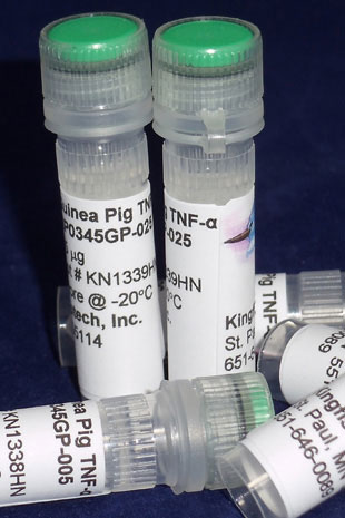 Guinea Pig TNF alpha (Yeast-derived Recombinant Protein) - 500 ug (5 x 100 ug vials)