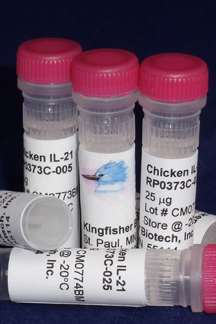 Chicken IL-21 (Yeast-derived Recombinant Protein) - 500 ug (5 x 100 ug vials)