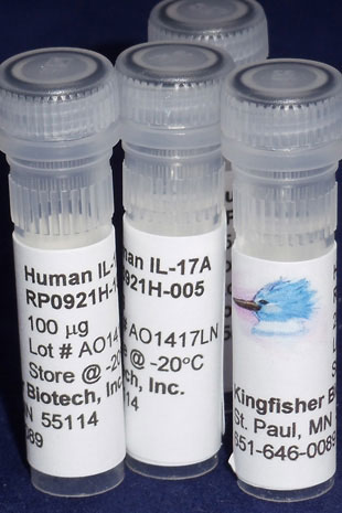 Human IL-17A (Yeast-derived Recombinant Protein) - 500 ug (5 x 100 ug vials)