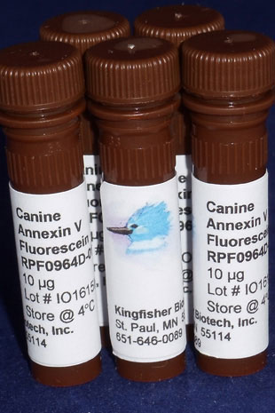 Canine Annexin V Fluorescein - 100 tests