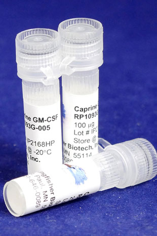 Caprine GM-CSF (Yeast-derived Recombinant Protein) - 500 ug (5 x 100 ug vials)