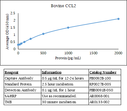 Bovine CCL2 Standard Curve