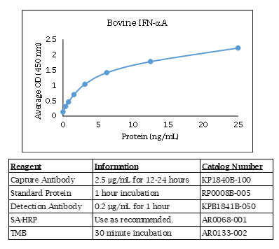 Bovine IFNα A Standard Curve