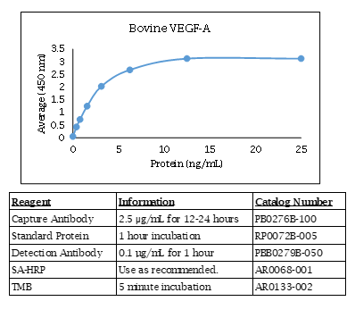 Bovine VEGF-A Standard Curve