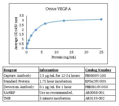 Ovine VEGF-A Standard Curve
