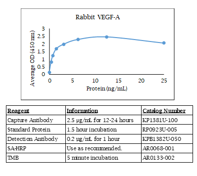 Rabbit VEGF-A Standard Curve