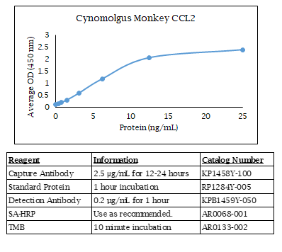 Cynomolgus Monkey CCL2 Standard Curve
