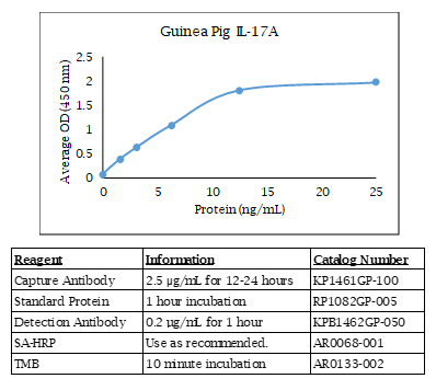 Guinea Pig IL-17A Standard Curve