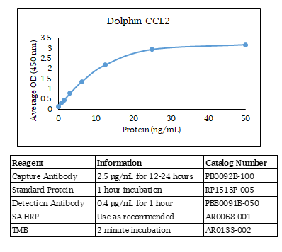 Dolphin CCL2 Standard Curve