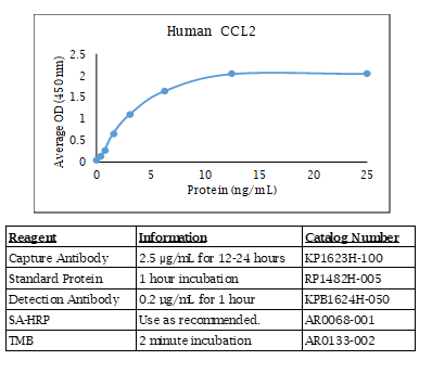 Human CCL2 Standard Curve
