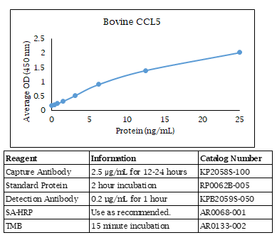 Bovine CCL5 Standard Curve