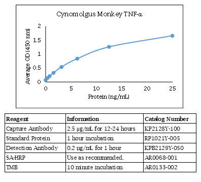 Cynomolgus Monkey TNFα Standard Curve
