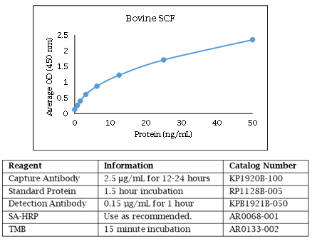 Bovine SCF Standard Curve