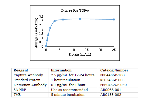 Guinea Pig TNF-α Standard Curve