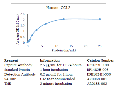 Human CCL2 Standard Curve