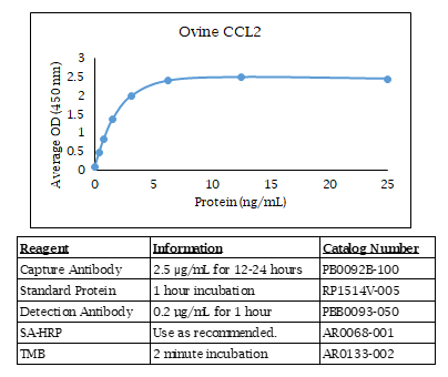 Ovine/Caprine CCL2 Standard Curve