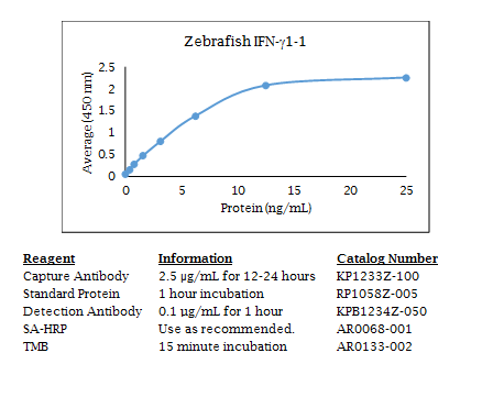 Zebrafish IFN gamma Standard Curve