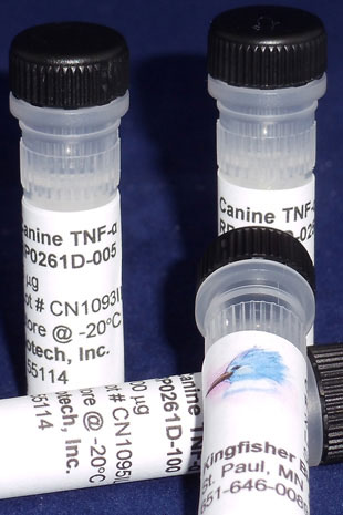 Canine TNF alpha (Yeast-derived Recombinant Protein) - 500 ug (5 x 100 ug vials)