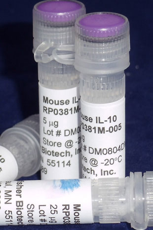 Mouse IL-10 (Yeast-derived Recombinant Protein) - 25 micrograms