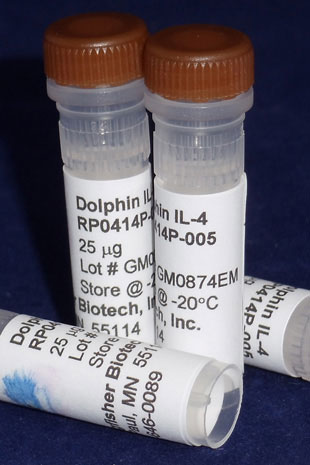 Dolphin IL-4 (Yeast-derived Recombinant Protein) - 25 micrograms