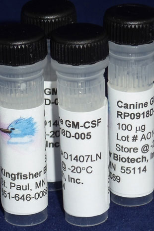 Canine GM-CSF (Yeast-derived Recombinant Protein) - 500 ug (5 x 100 ug vials)
