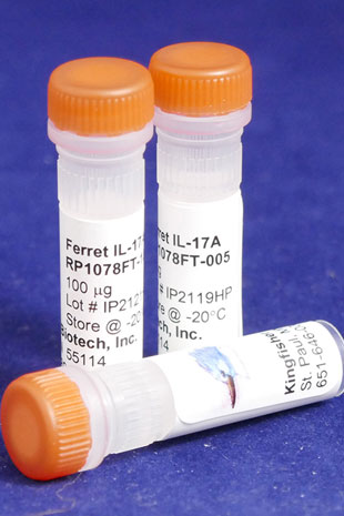 Ferret IL-17A (Yeast-derived Recombinant Protein) - 500 ug (5 x 100 ug vials)