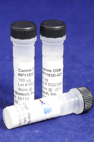 Canine Oncostatin M (OSM) (Yeast-derived Recombinant Protein) - 500 ug (5 x 100 ug vials)
